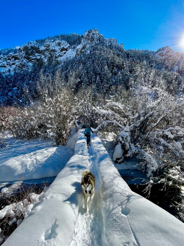 Palisade Creek Bridge.jpg