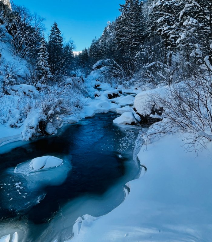 Palisade Creek frozen.jpg