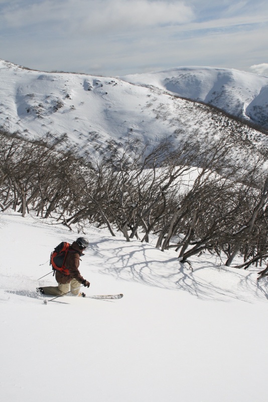 Hotham 07 006.jpg